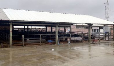 Tüm hayvan pazarları kapatıldı