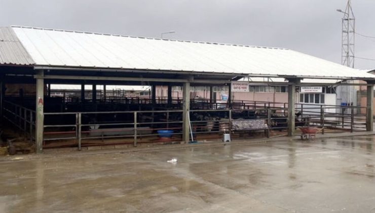 Tüm hayvan pazarları kapatıldı